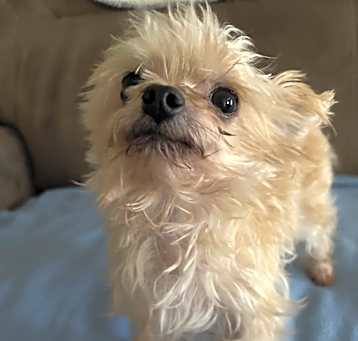 Photo of Leo