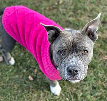 Photo of Peppa