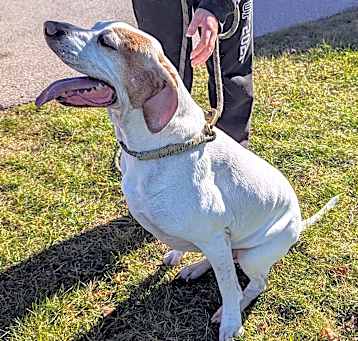 Photo of Duke