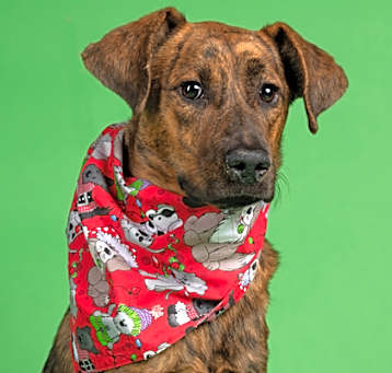 Photo of Aidyn