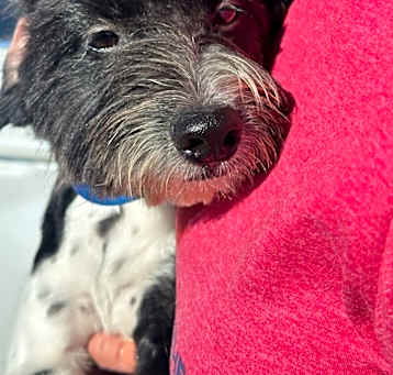 Photo of Bentley