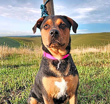 Photo of Betty