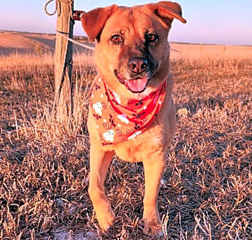 Photo of Clara Bear