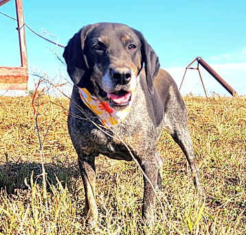 Photo of Blue