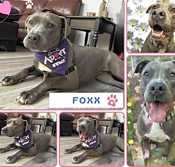 Photo of Foxx