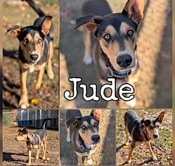 Photo of Jude