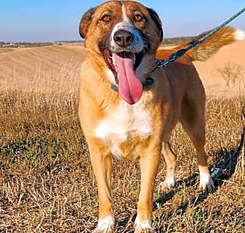 Photo of Sandy