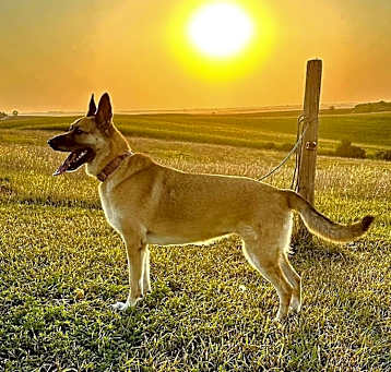 Photo of Xena
