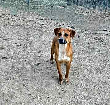 Photo of Bert