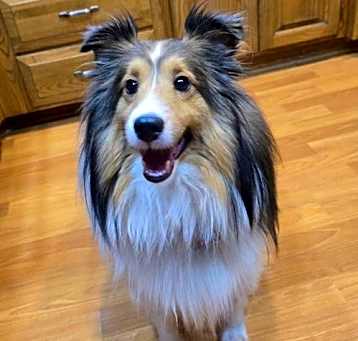 Photo of Waylon