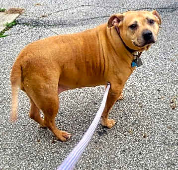 Photo of Holly