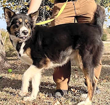 Photo of Xena