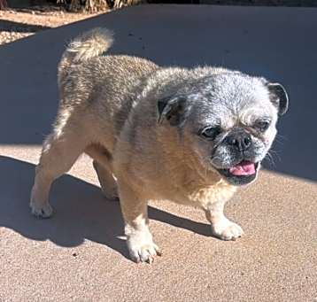 Photo of Melvin