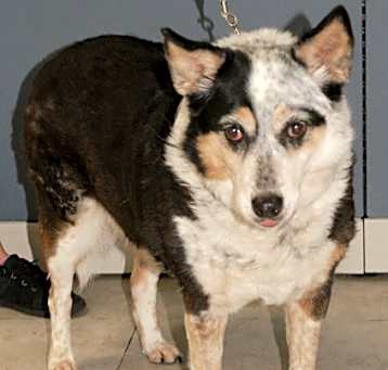 Photo of Kymba