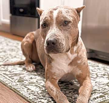 Photo of Maizie