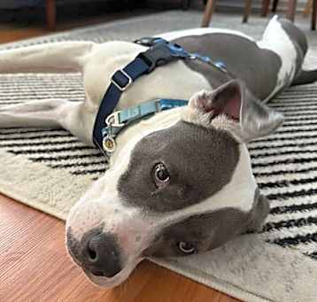 Photo of Cali