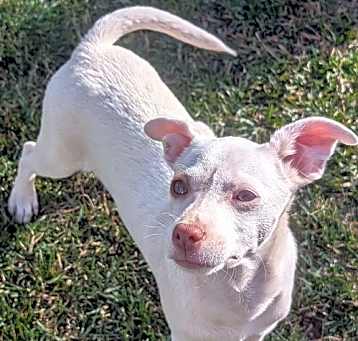 Photo of Raider