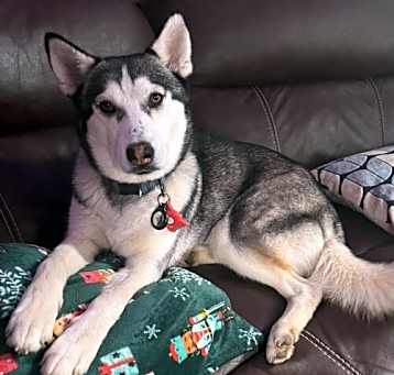 Photo of Clementine