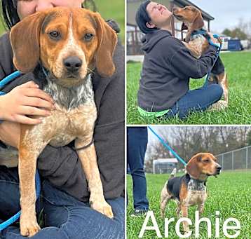Photo of Archie