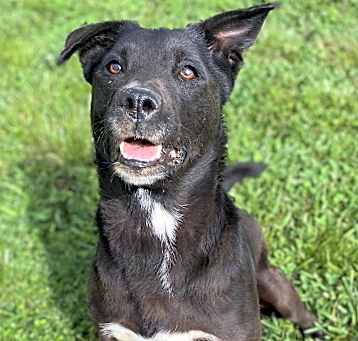 Photo of Bertha