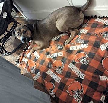 Photo of Chomps