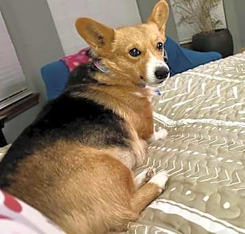 Photo of Hattie