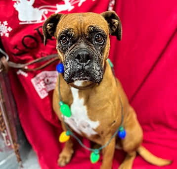 Photo of Molly