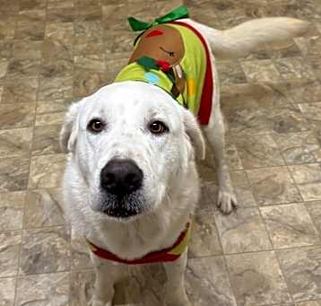 Photo of Storm