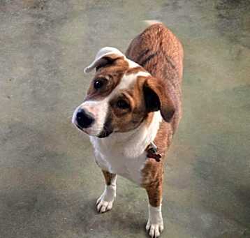 Photo of Sally