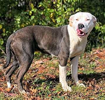 Photo of whisper