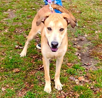 Photo of Braven