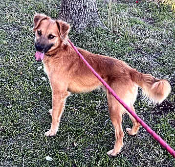 Photo of Bentley