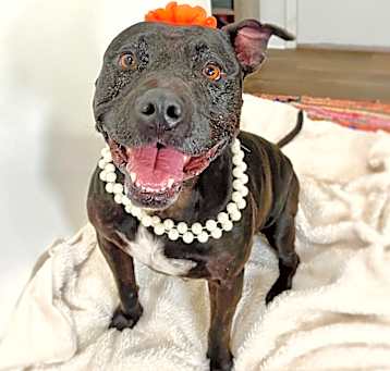 Photo of Polly Anna