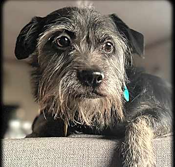 Photo of Simon