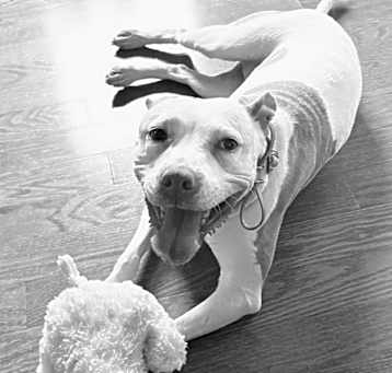Photo of Josie