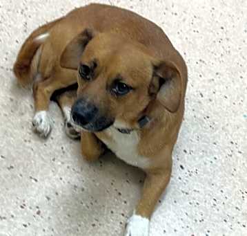 Photo of Reuben