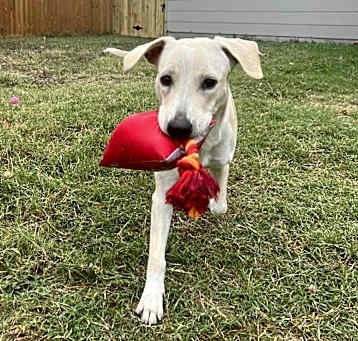 Photo of Butters
