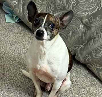 Photo of Lucas