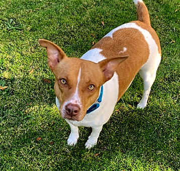 Photo of SANDY