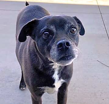 Photo of PACO
