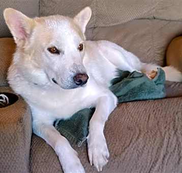 Photo of JASPER