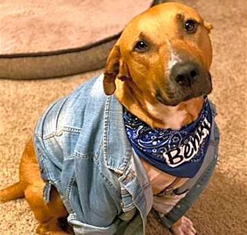 Photo of BENNY