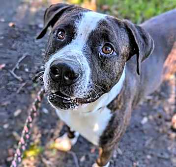 Photo of BOBBIE
