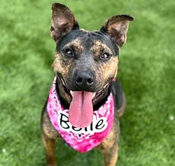 Photo of BELLE*
