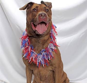Photo of *BERTHA