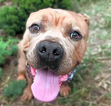 Photo of TANK