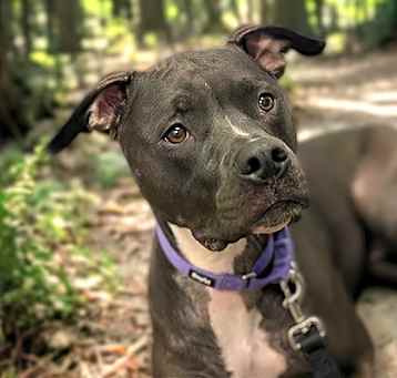 Photo of PEARL