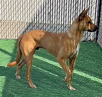 Photo of TIZOC