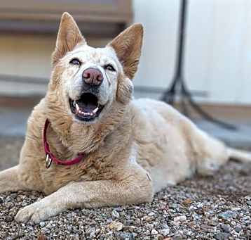 Photo of JASMINE