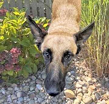 Photo of LOLA